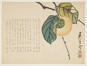 Tomel, cca 1854-59 (barevný dřevořez) od Shunsei